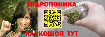 сатива Моздок